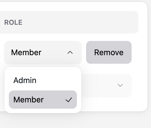 Role dropdown with member and admin options